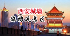 黄色片欧美鸡巴日逼逼中国陕西-西安城墙旅游风景区